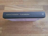 Vi p&aring; Saltkr&aring;kan