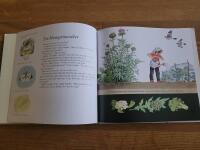 Titta det v&auml;xer!