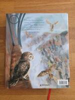 Harry Potter och de vises sten