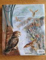 Harry Potter och de vises sten