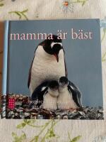 Mamma &auml;r b&auml;st : inspirerande ord om att vara mamma