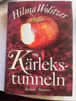K&auml;rlekstunneln : [roman]