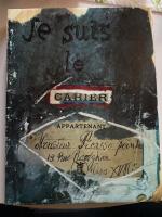 Je suis le cahier : Picassos skissb&ouml;cker