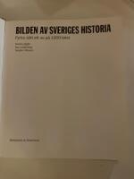 Bilden av Sveriges historia : fyrtio s&auml;tt att se p&aring; 1900-talet