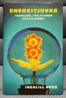 Energitjuvar : i familjen, i relationen och p&aring; jobbet