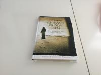 Brinna, bli br&auml;nd, gl&ouml;da igen : om utbr&auml;ndhet och v&auml;gen tillbaka