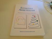 Effektiva arbetsteam : modeller, syns&auml;tt & verktyg i teambuilding
