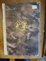 Den F&ouml;rlorade Sonen 2