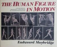 The Human Figure in Motion