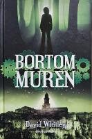 Bortom muren
