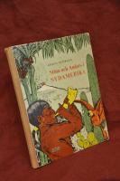 Stina och Anders i Sydamerika