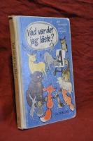 Vad var det jag l&auml;ste? 2