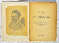 En bok om  Strindberg