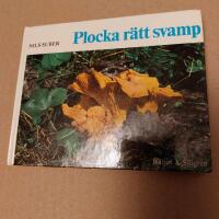Plocka r&auml;tt svamp