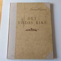 Det vildaste rike