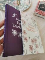 Beautiful book with slipcase Emily Dickinson poems illustrated