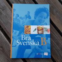 Bra Svenska B