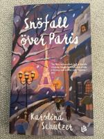 Sn&ouml;fall &ouml;ver Paris