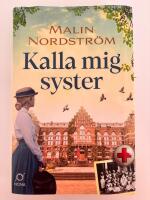 Kalla mig syster - en historisk roman