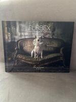 Furbex - a dogs life of urban exploration