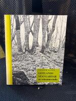 Gotlands stavgardar : en ortnamnsstudie