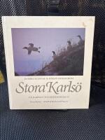 Stora Karls&ouml; : f&aring;glarnas och blommornas &ouml;