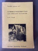 Karstomr&aring;det vid Lummelunds bruk, Gotland med speciell h&auml;nsyn till Lummelundagrottan