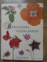 BERGIANSKA TR&Auml;DG&Aring;RDEN