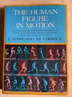 The human figure in motion : a source book of sequential action images by a master photographer