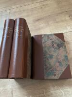 Skara stifts kyrkor under de sista &aring;rtiondena af 1800-talet