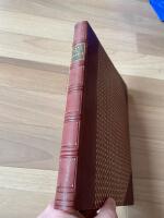 Renoir. Den franske kvinnes maler