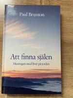 Att finna sj&auml;len : Meningen med livet p&aring; jorden