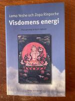 Visdomens energi