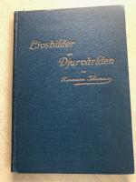 De f&ouml;rsta grunderna i skogsh&aring;llning