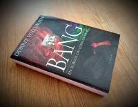 Bang. En roman om Herman Bang