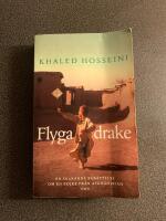Flyga drake