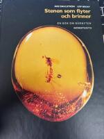 Stenen som flyter och brinner : en bok om b&auml;rnsten