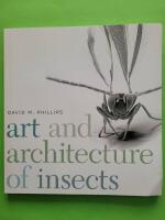 Art and architecture of insects