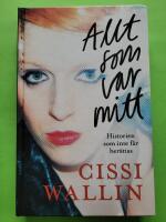 Allt som var mitt : historien som inte f&aring;r ber&auml;ttas