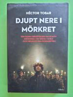 Djupt nere i m&ouml;rkret : den sanna ber&auml;ttelsen om 33 m&auml;n inst&auml;ngda i en gruva i Chile - och miraklet som r&auml;ddade dem