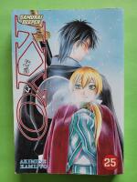 Samurai Deeper Kyo 25