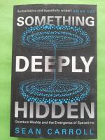 Something deeply hidden - quantum worlds and the emergence of spacetime