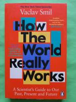 How the World Really Works - A Scientist's Guide to Our Past, Present and F