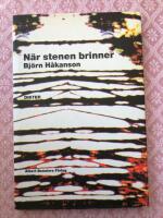 N&auml;r stenen brinner : dikter