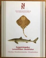 Ryggsträngsdjur : lansettfiskar - broskfiskar. Chordata : branchiostomatidae - chondrichthyes