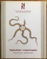 Tagghudingar - svalgstr&auml;ngsdjur. Echinodermata - hemichordata