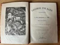 Sagobok f&ouml;r barn: Folksagor