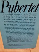Pubertet