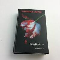 N&auml;r jag h&ouml;r din r&ouml;st