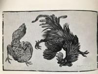 Norsk Grafikk i det tyvende &aring;rhundre